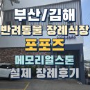 포포즈 반려동물장례식장 부산점 | 부산 반려동물 장례식장 포포즈 김해점 내돈내산 장례후기