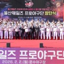 “시민 혈세로 운영되는데…” 존폐 기로에 선 울산 웨일즈 이미지