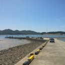 돌고래 좌대낚시터 이미지