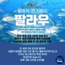 다이브윙스