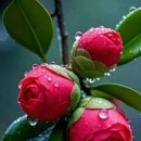 멋진 하루 이미지