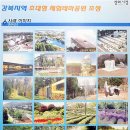 드림랜드 이미지