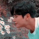 Don’t Forget to Stop and Smell The Flowers! 이미지