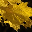 구명한의원 이미지