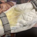 만족하개 | 강아지 기저귀 리필 또싸 애견용 리필 기저귀 사용후기