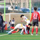 탄금대로 1R Daum카페