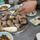 산지부들