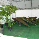 송이테마공원 주차장 이미지