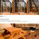 세모난나무 이미지