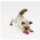 월드토이 이미지