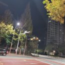 일편단심 민들레ㆍ 이미지