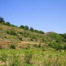 매포농협적성지소 | 가족과 함께 쉬엄쉬엄 오르는 단양 적성산성