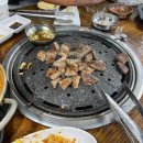 외대갈매기 이미지