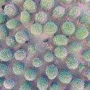 김태진농장 이미지