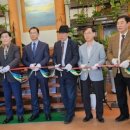 영흥도 갤러리 이미지