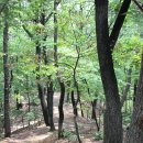 꽃향기 나는 중년여행.4050 꽃향기중년여행.3050싱글사랑만들기.5060중년모임.중년모임여행..4050하늘향기,중년쉼터,5060사랑하는사람들 이미지