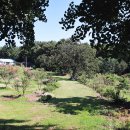 진경원민박캠핑장 이미지