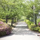 인천광역시교육청 인천광역시교육청부평도서관 | [인천 서구] 인천광역시교육청서구도서관