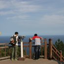 묵호항여객선터미널 이미지