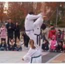 한체대국가대표태권도장 이미지