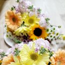 기장초등학교병설유치원 이미지