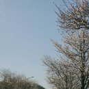 안성맞춤랜드공원4 이미지