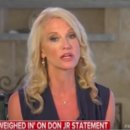 Kellyanne Conway makes mindblowing pivot to Benghazi when grilled about Trump Jr.'s Russia meeting by Sonam Sheth,Business Insider 이미지