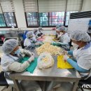 완주시니어클럽(두레유통) 이미지