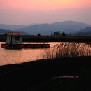 순천만 풍경 이미지