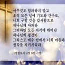 빌림 이미지