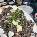실내시장마차 | 대전 동구 중앙시장 실내포장마차 이모집 분위기와 응대 후기