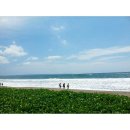 발리(BALI) 이미지