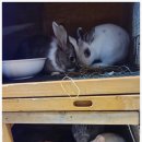 비치힐 뷰 | 영종도펜션 제대로 찾았다! 비치힐뷰하우스 감성 숙소 후기 💙🌊