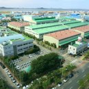 삼화시장 이미지