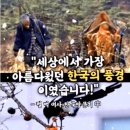 세상에서 가장 아름다웠던 한국의 풍경 (펄벅 여사) 이미지