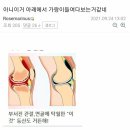 더디씨 이미지
