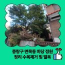 면목5동주민센터 | 중랑구 면목동 마당 정원 정리 수목제거 및 벌목