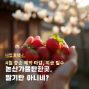 명재농장 | 논산가볼만한곳 4월 딸기 체험! 명재고택 인생샷 명소 큐레이션