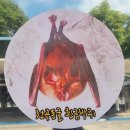 천곡황금박쥐동굴 이미지