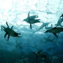 바다가 그리울때 이미지