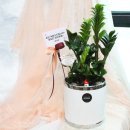 군자농협원곡지점 이미지