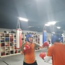 공원정통 다이어트복싱 이미지