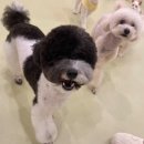 털로덮인친구들 서울상도점 이미지