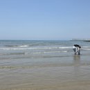 서해바다 이미지