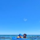 국립영덕청소년해양환경체험관 이미지