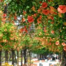 부천-중앙-부천-02 이미지