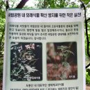 서울 YMCA 다락원 캠프장 이미지