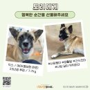 토리