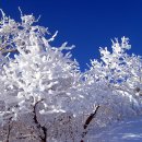 청주 산사랑 산악회 1월,2월 산행안내 이미지