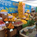 예천공설운동장 이미지